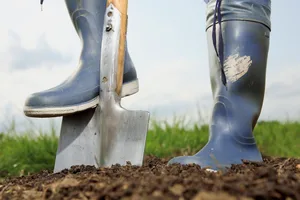 Stop digging in January Stop digging in January