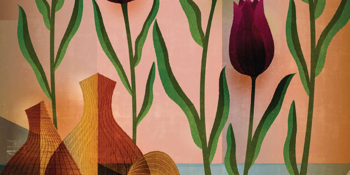 Spring bulbs John Campbell Tulip illustration