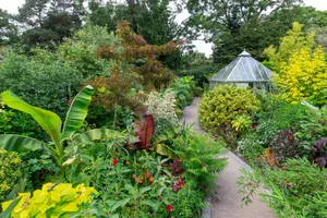 The Subtropical border at RHS Garden Harlow Carr. The Subtropical border at RHS Garden Harlow Carr.