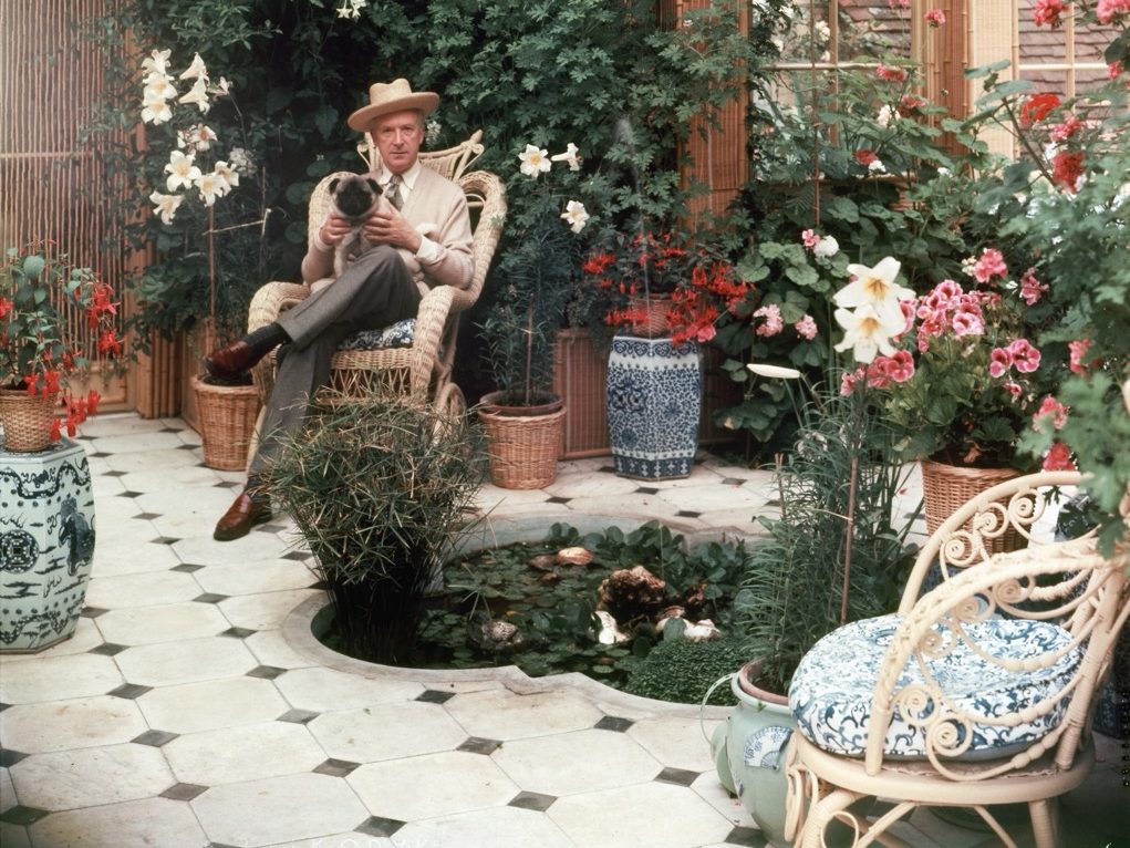 Cecil Beaton sitting in his indoor Winter Garden at Reddish House with his pet pug