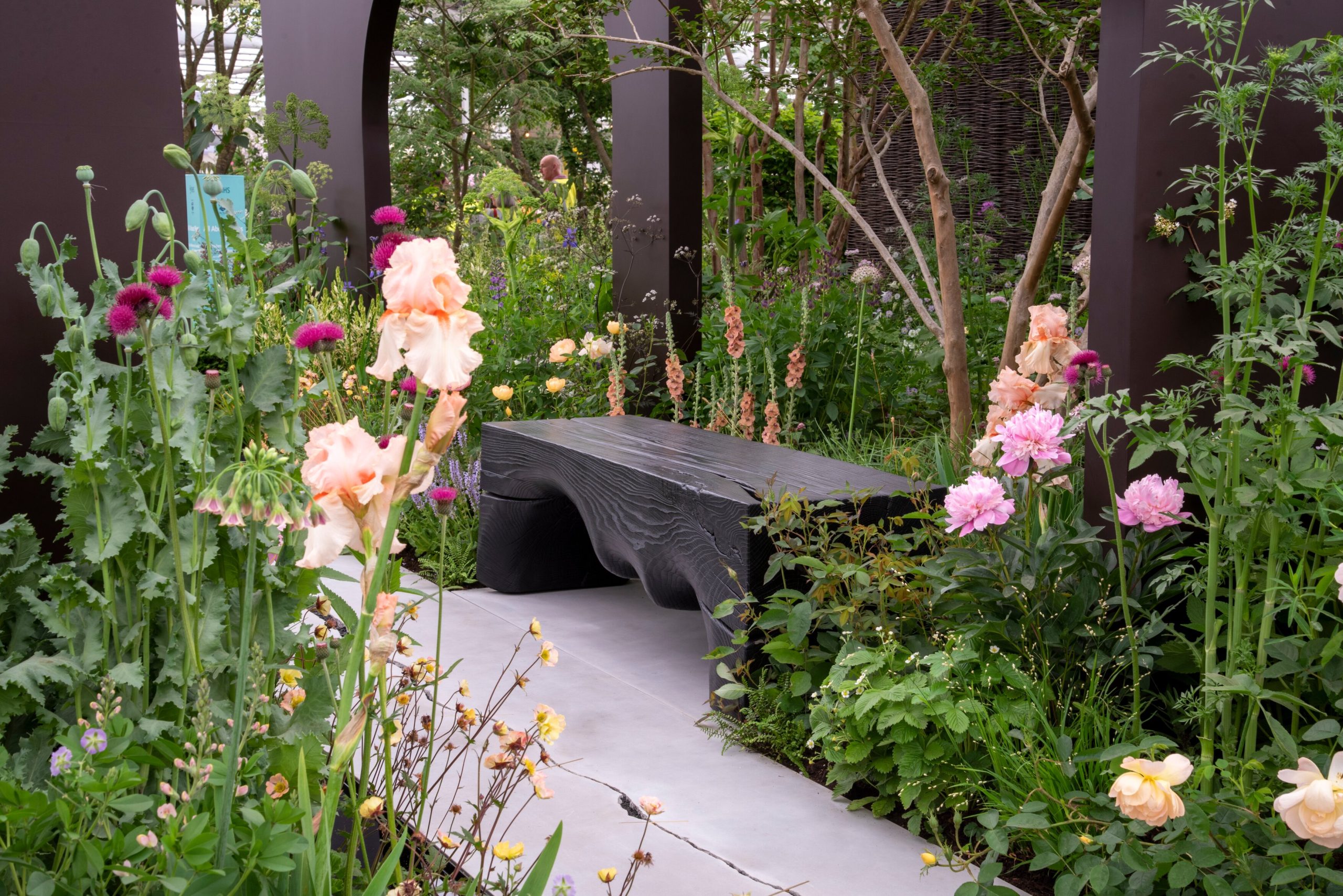 Pollyanna Wilkinson's Chelsea garden Mothers4Mothers