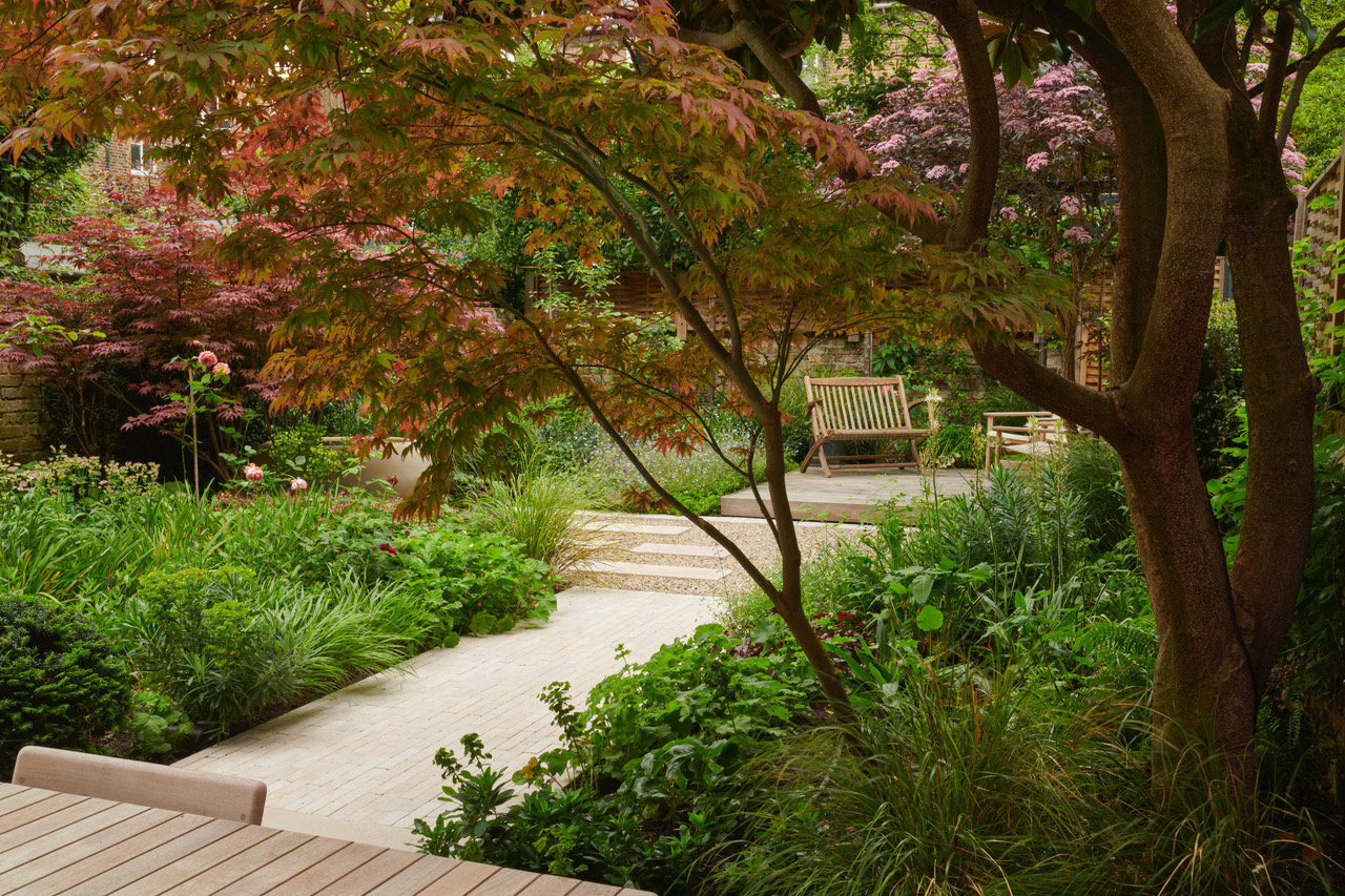 A garden with trees and benches