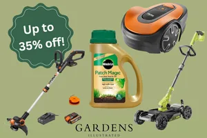 Lawn care deals Amazon lawn care deals on a green background