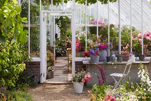 greenhouse-main-hero Outdoor shot of a greenhouse covered in flowers