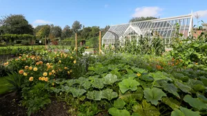 Alitex glasshouse with Garden Organic veg patch Alitex glasshouse with Garden Organic veg patch