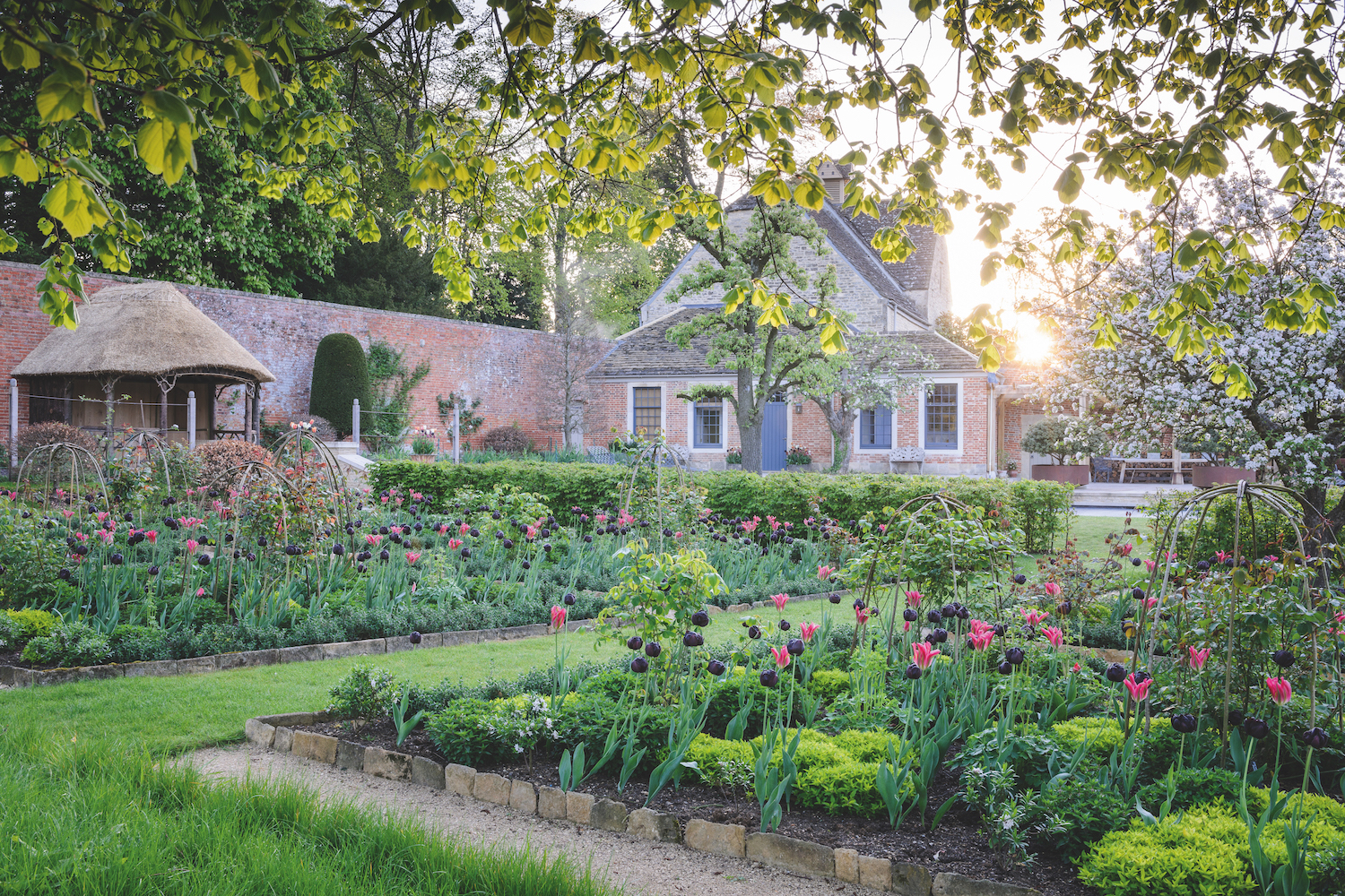 Tulips at Blackland House