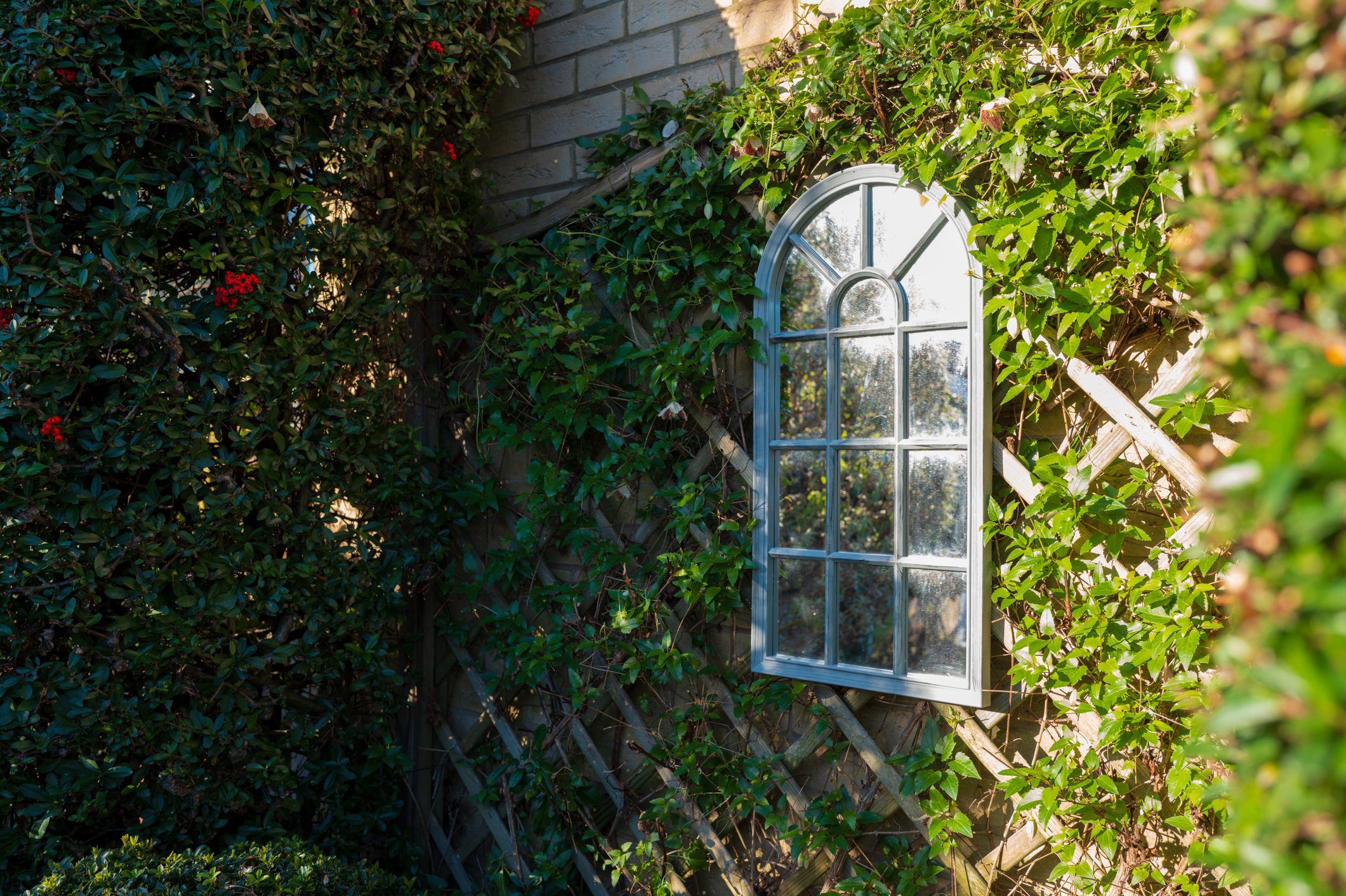 Ornate garden mirror giving the illusion of a arched window seen against strong winter sun.