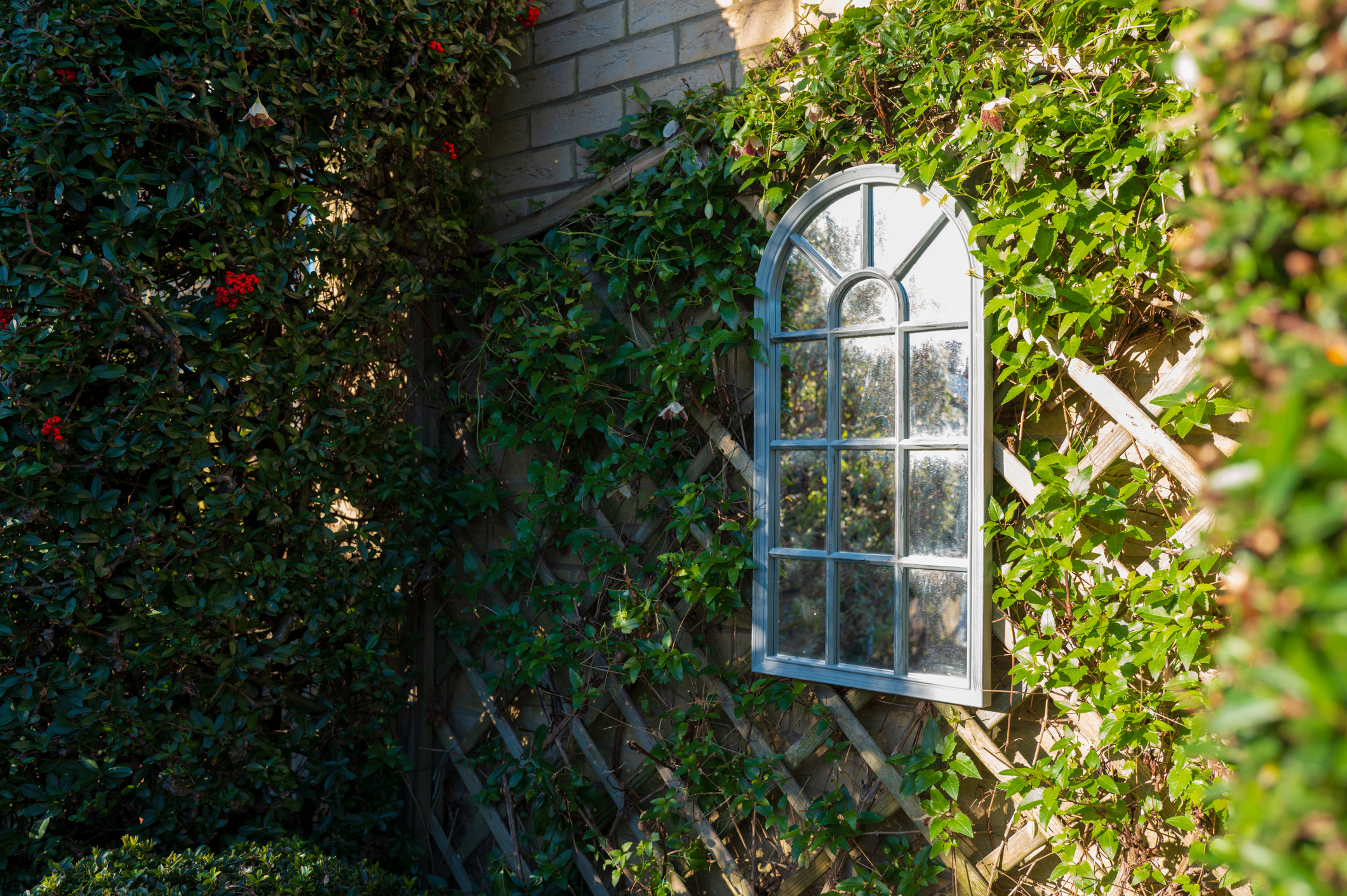 Ornate garden mirror giving the illusion of a arched window seen against strong winter sun.