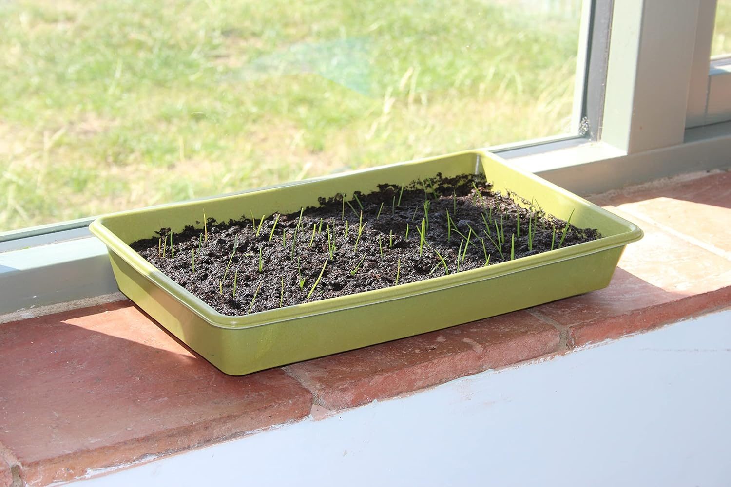 Haxnicks Indoor & Outdoor Sustainable Bamboo Fibre Plant Seed Tray