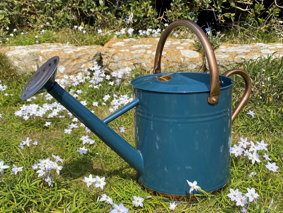 Heritage Blue & Copper Metal Watering Can with Rose