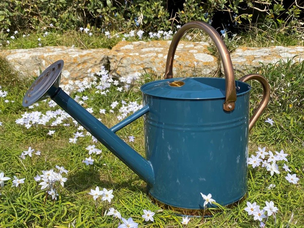 Heritage Blue & Copper Metal Watering Can with Rose