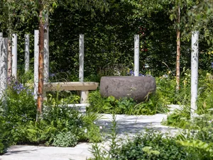 Macmillan Cancer Support: The Nascent Shade Garden. Designed by Elle Arnett. Show Garden. RHS Badminton Flower Show 2026. Site no. 250 © RHS / Neil Hepworth