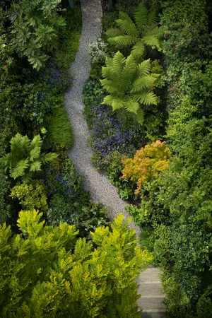 Lush planting in a small garden by Stefano Marinaz Lush planting in a small garden by Stefano Marinaz