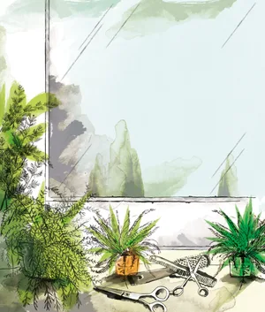 Asparagus fern Asparagus fern