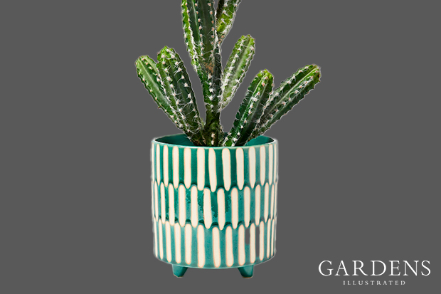 Dalloway Dash Green Plant Pot Large