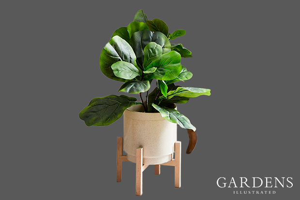 Coastal Large Planter
