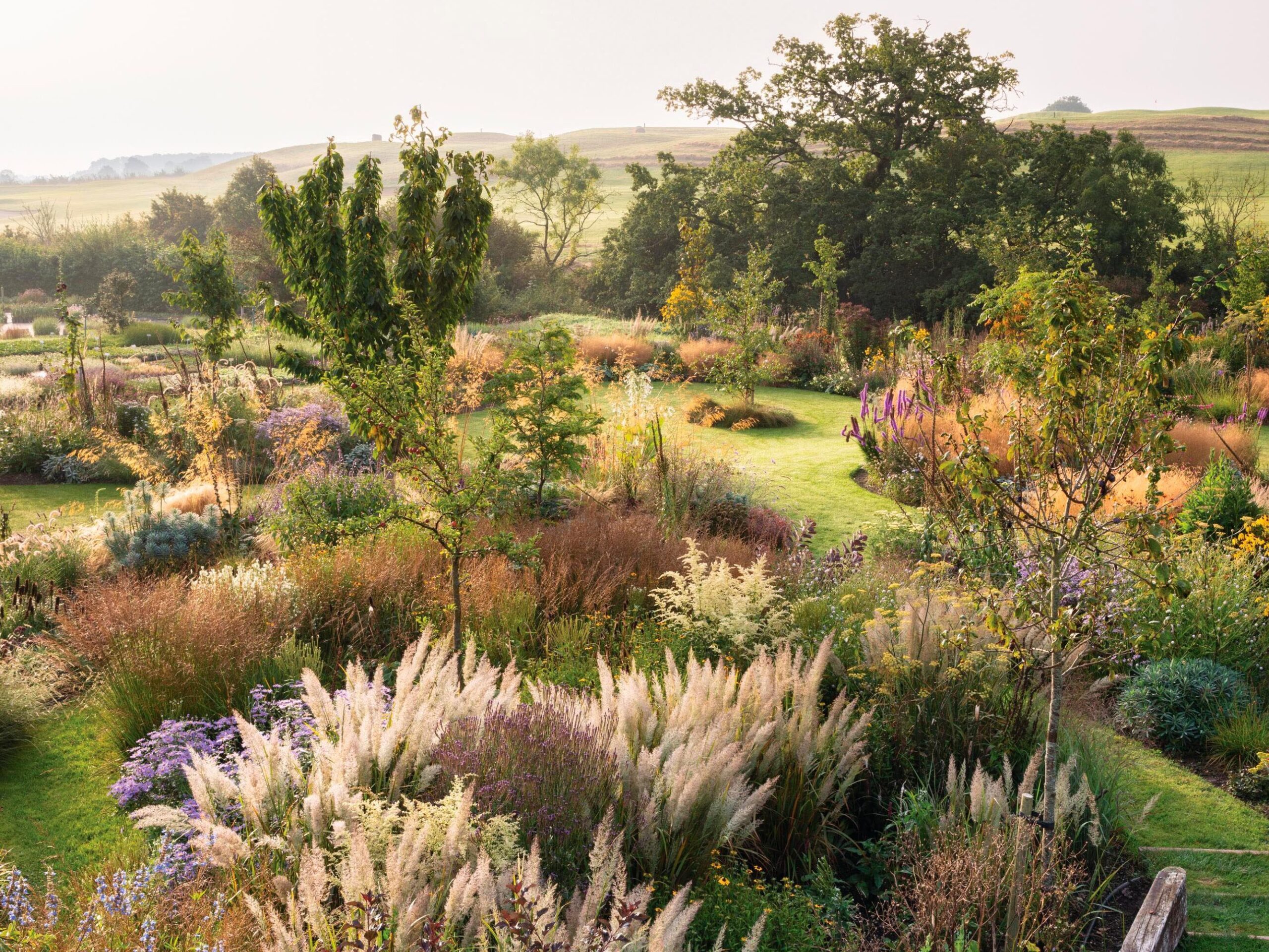 Arvensis Perennials
