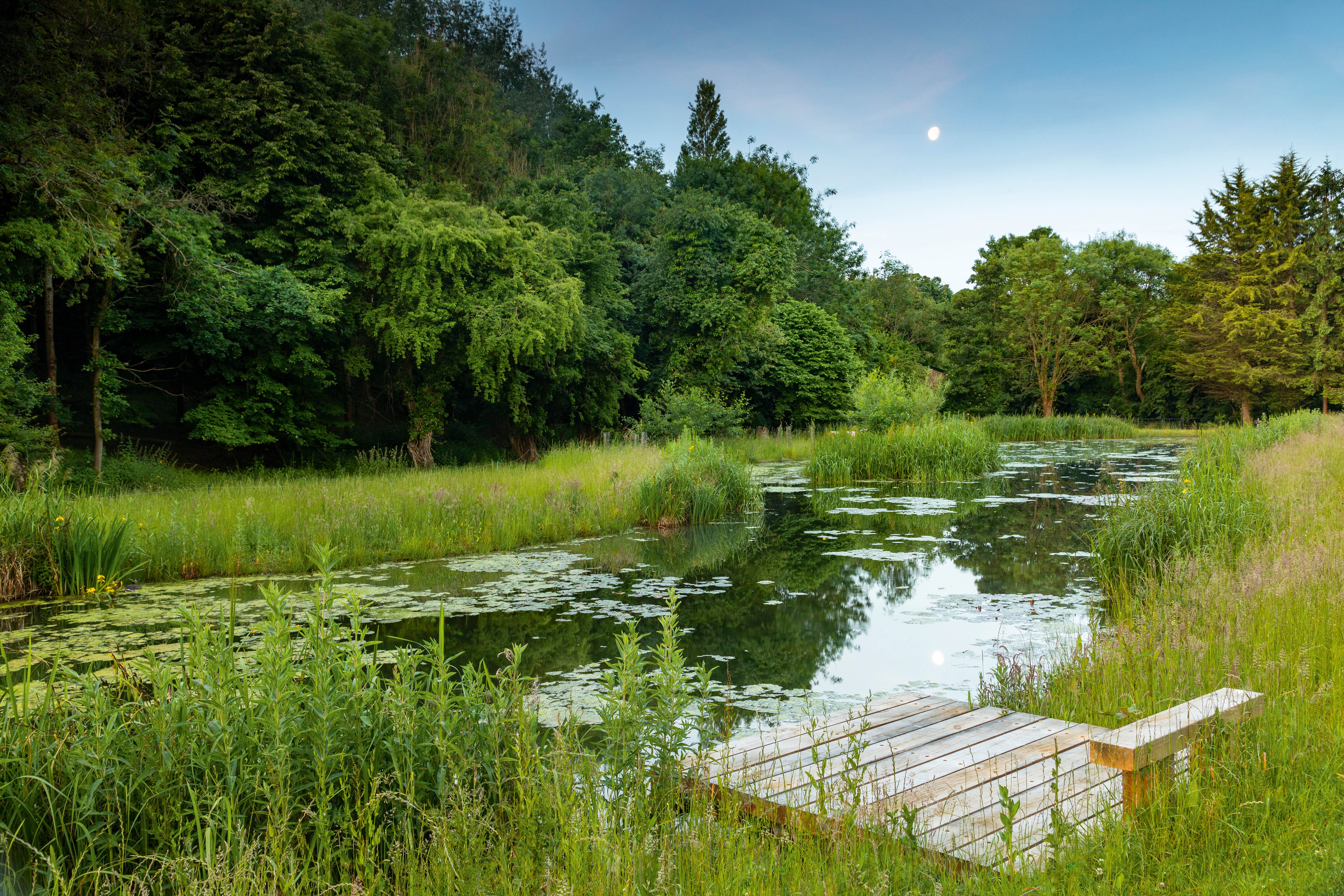 Chris Beardshaw Cotswold garden