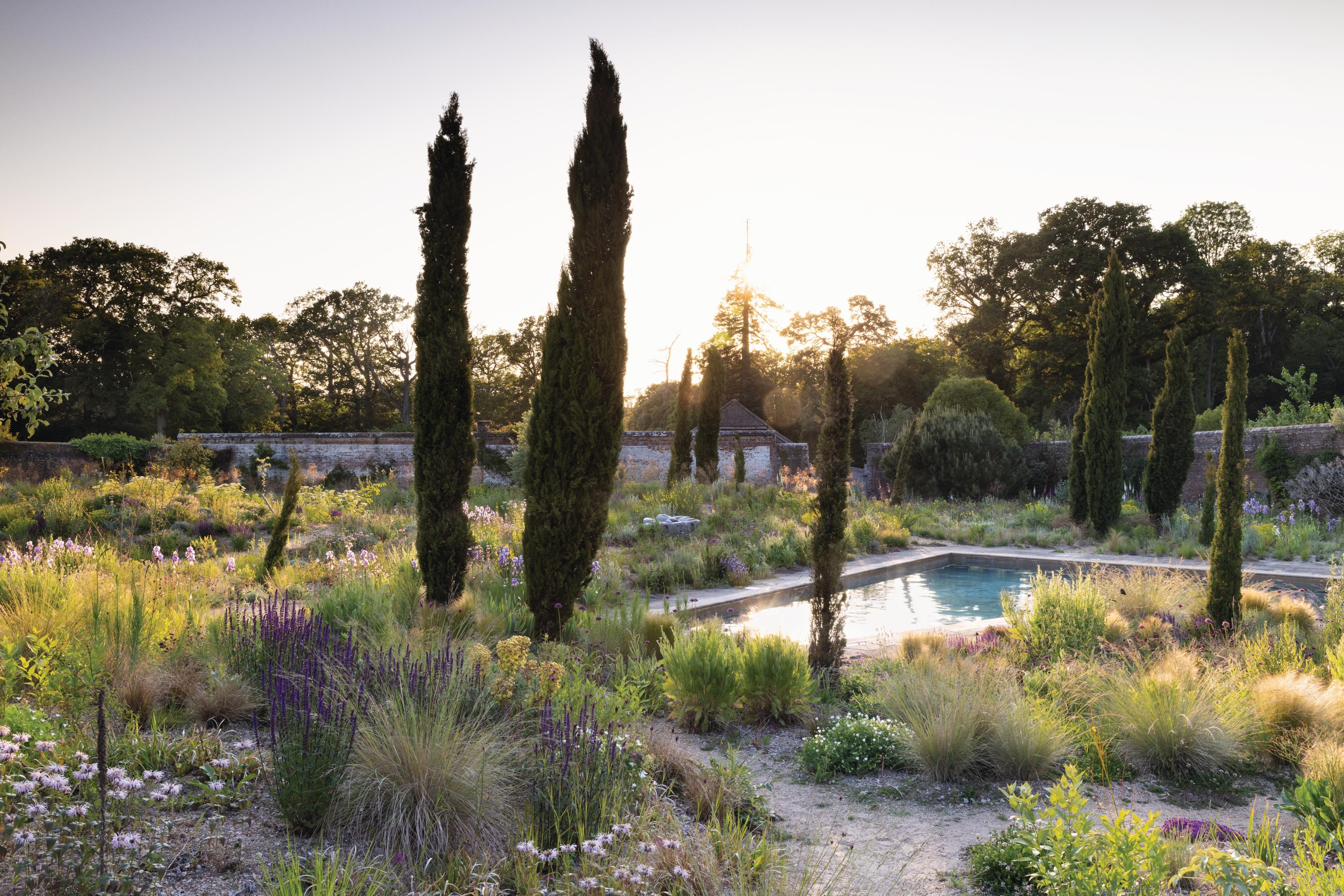 Knepp Castle: The rewilded Walled Garden