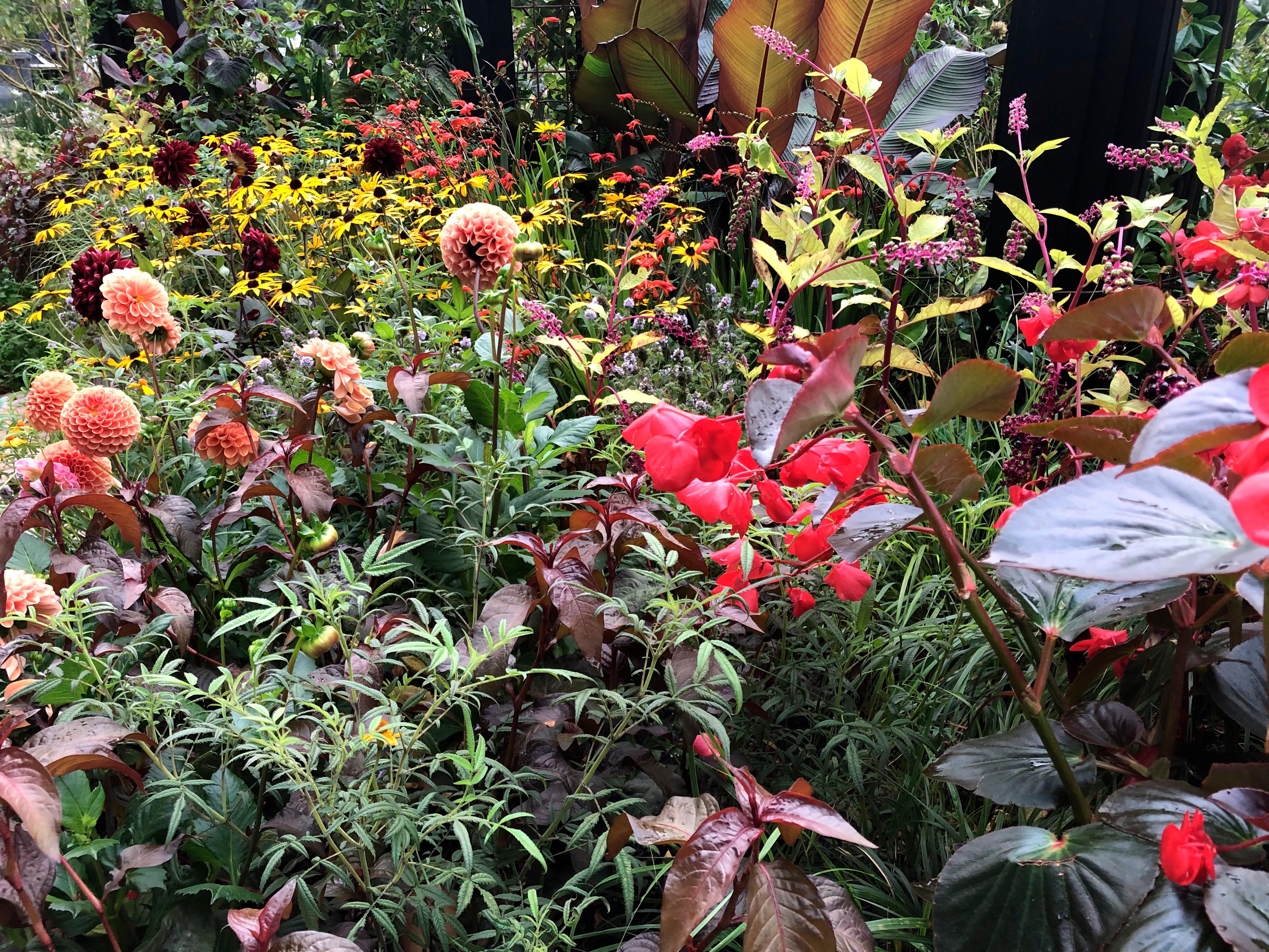 RHS COP26 Garden at Chelsea 2021.