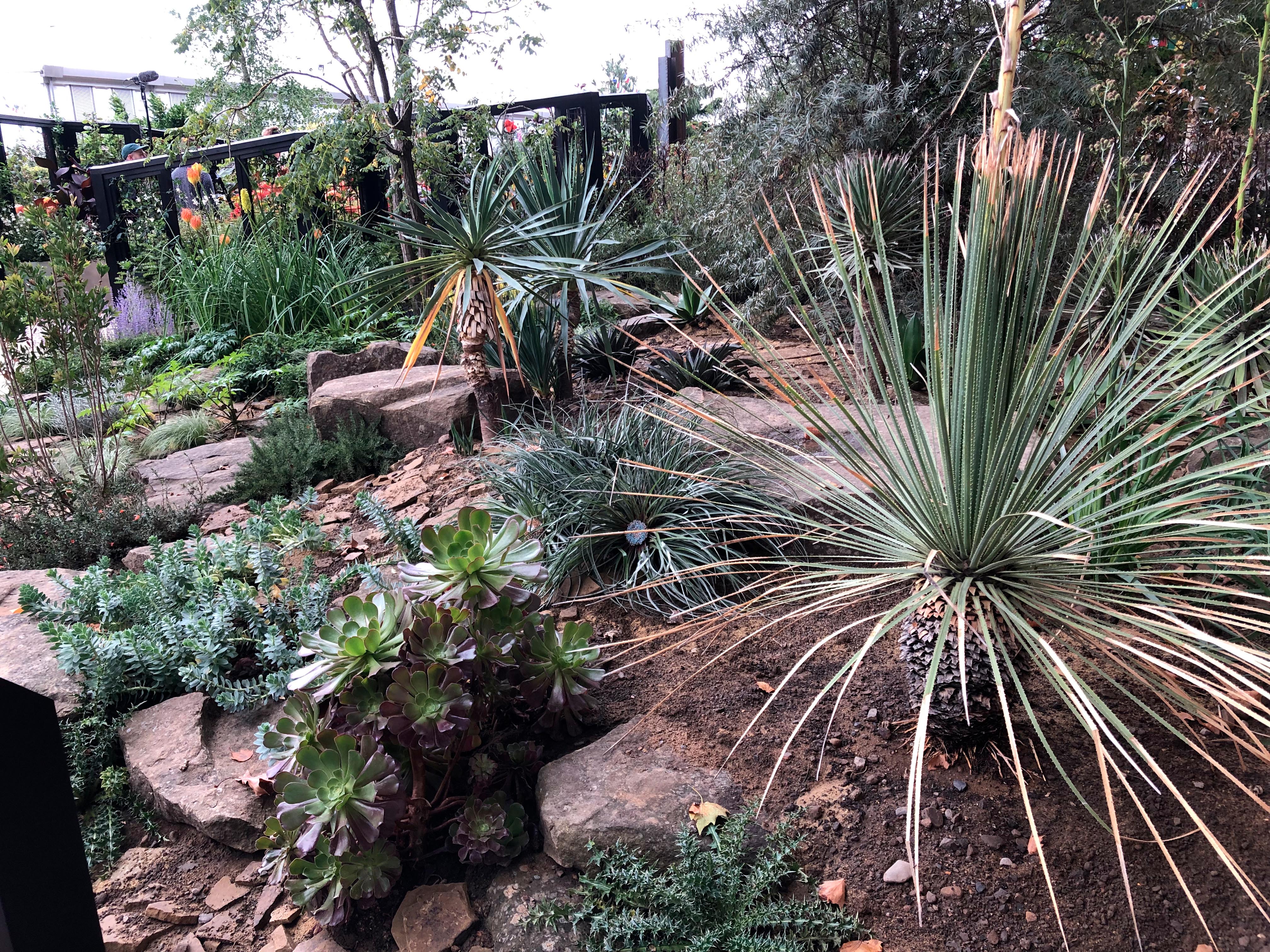 RHS COP26 Garden at Chelsea 2021.