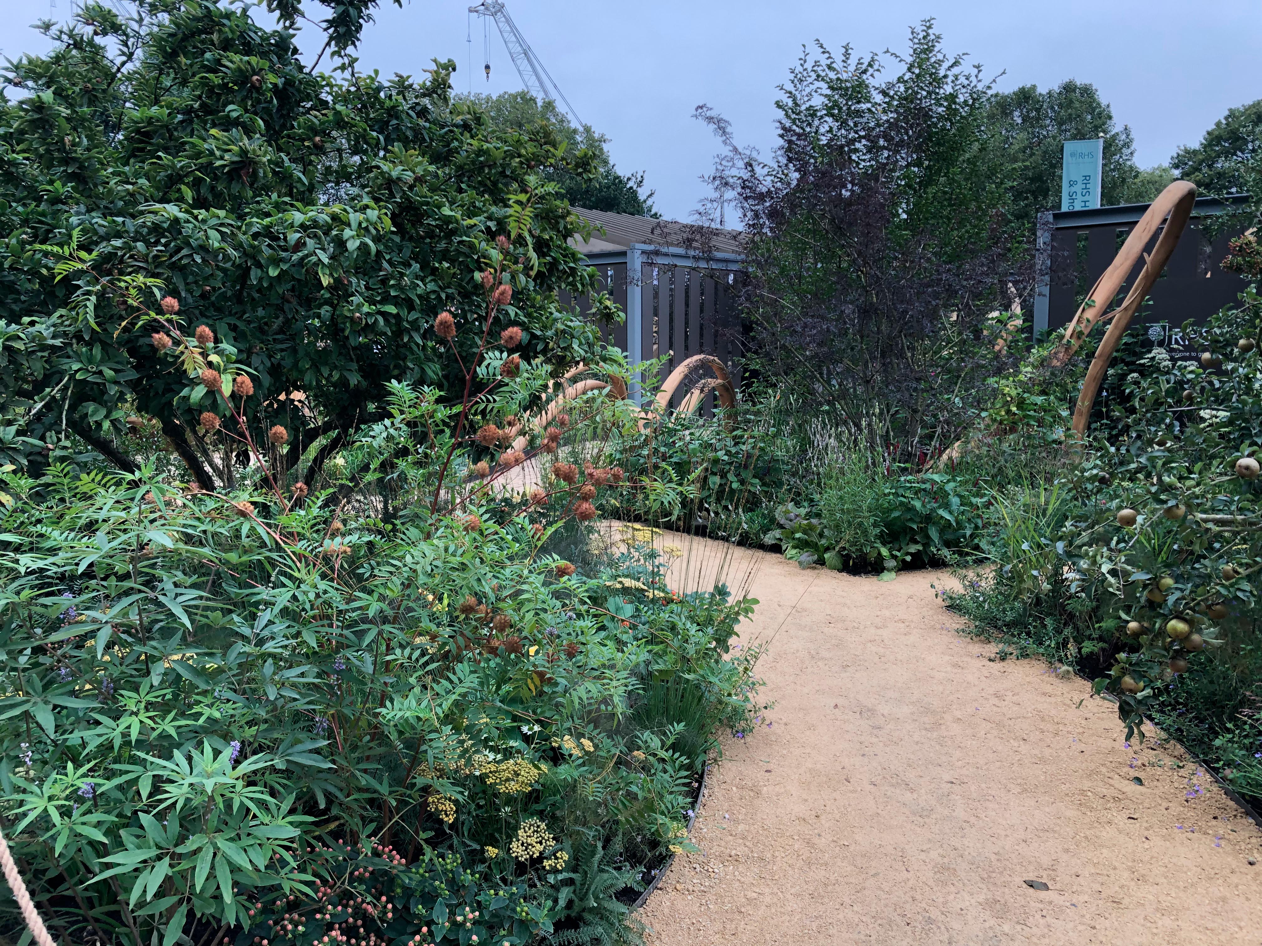 The BBC One Show & RHS Garden of Hope at Chelsea 2021.