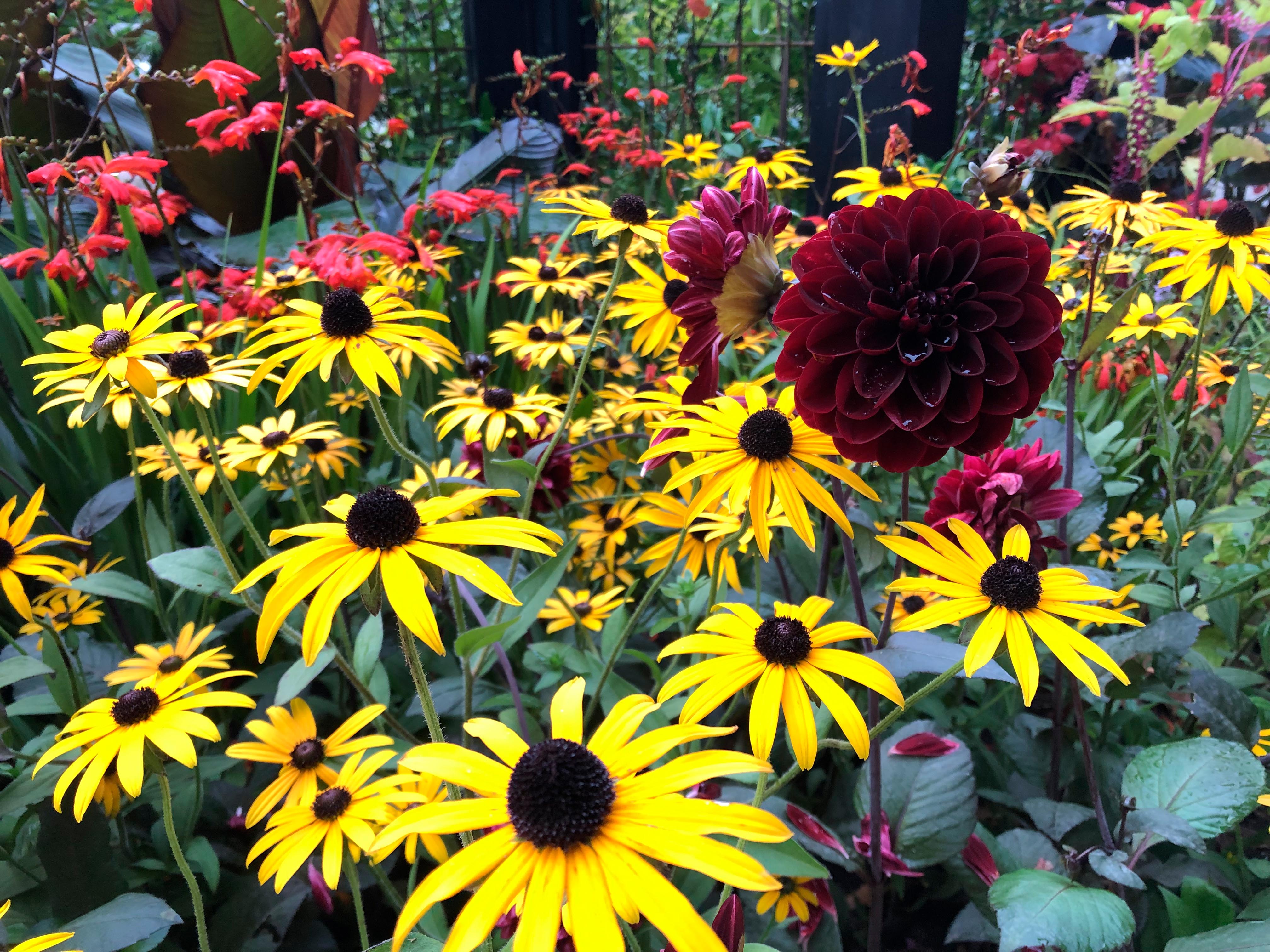 RHS COP26 Garden at Chelsea 2021.