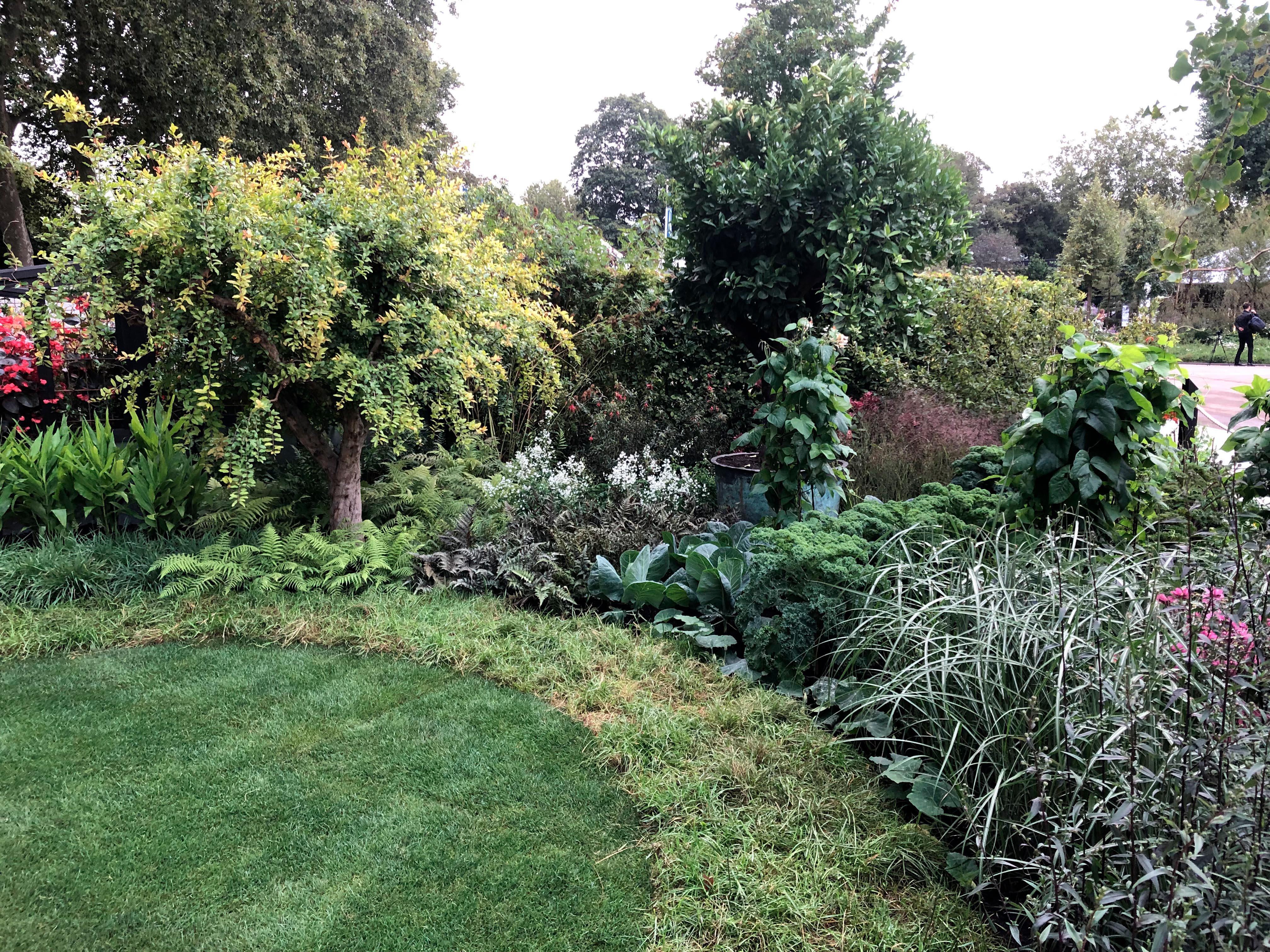 RHS COP26 Garden at Chelsea 2021.