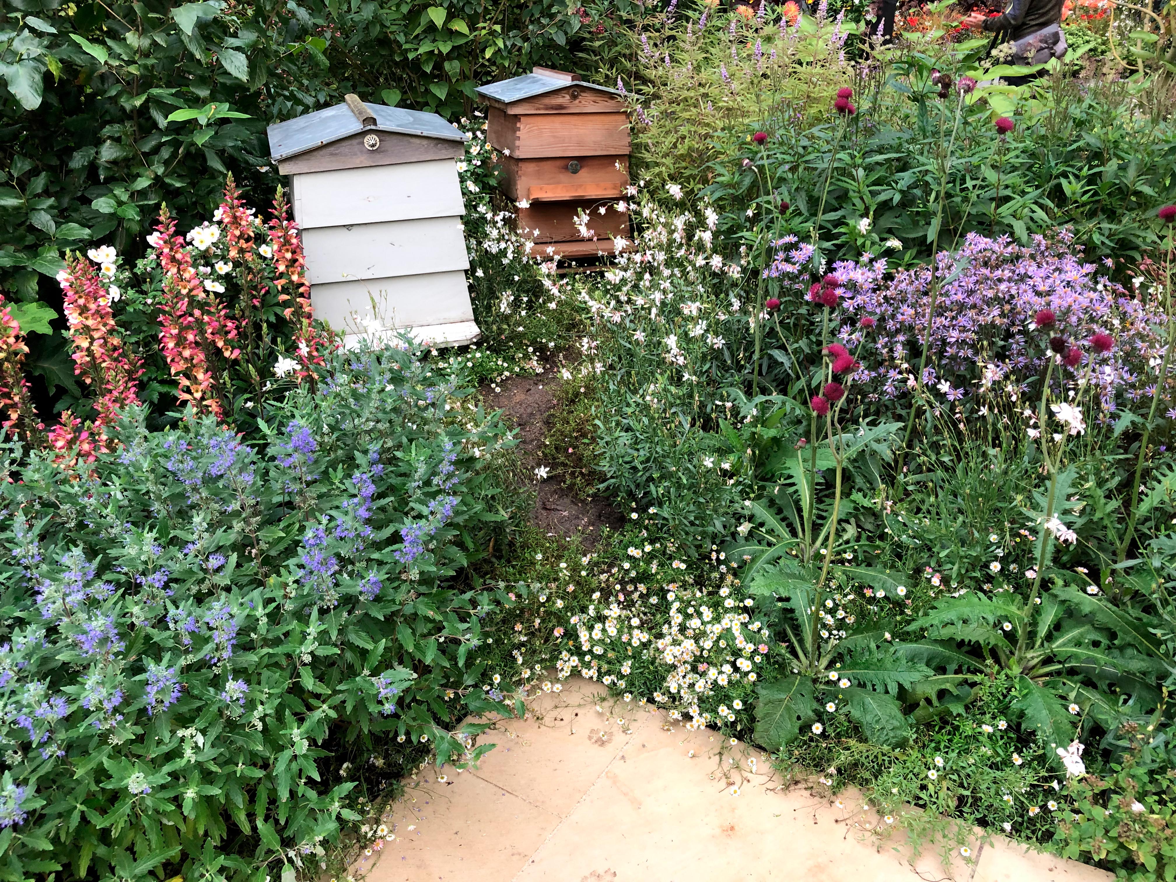 RHS COP26 Garden at Chelsea 2021.