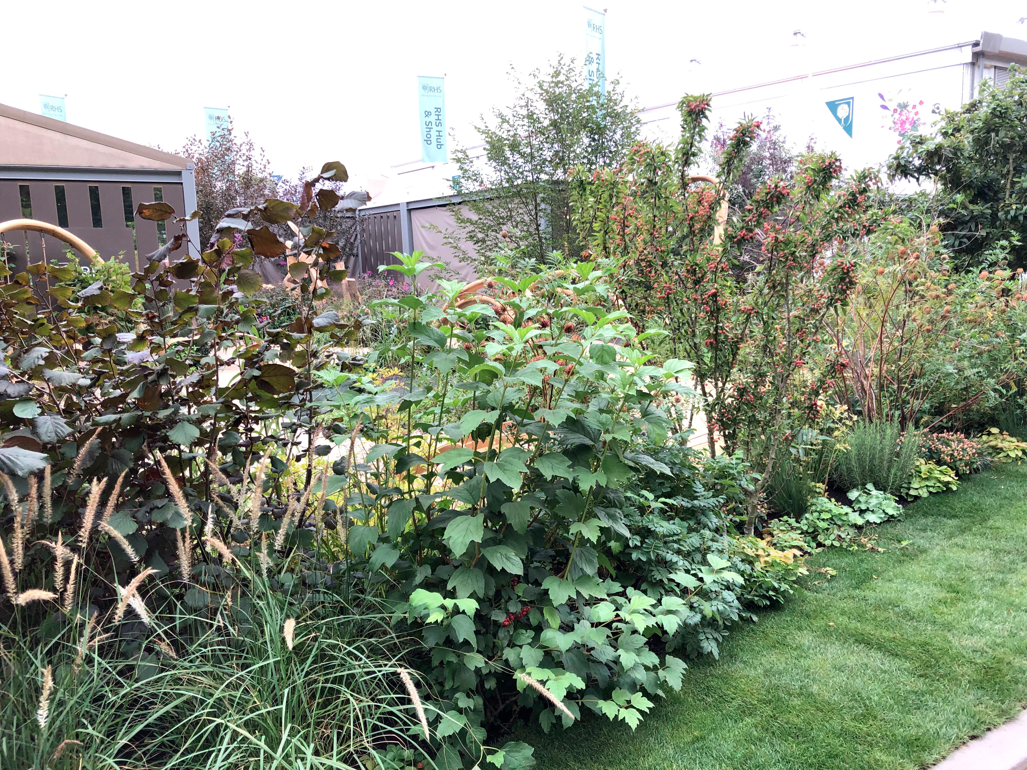 The BBC One Show & RHS Garden of Hope at Chelsea 2021.