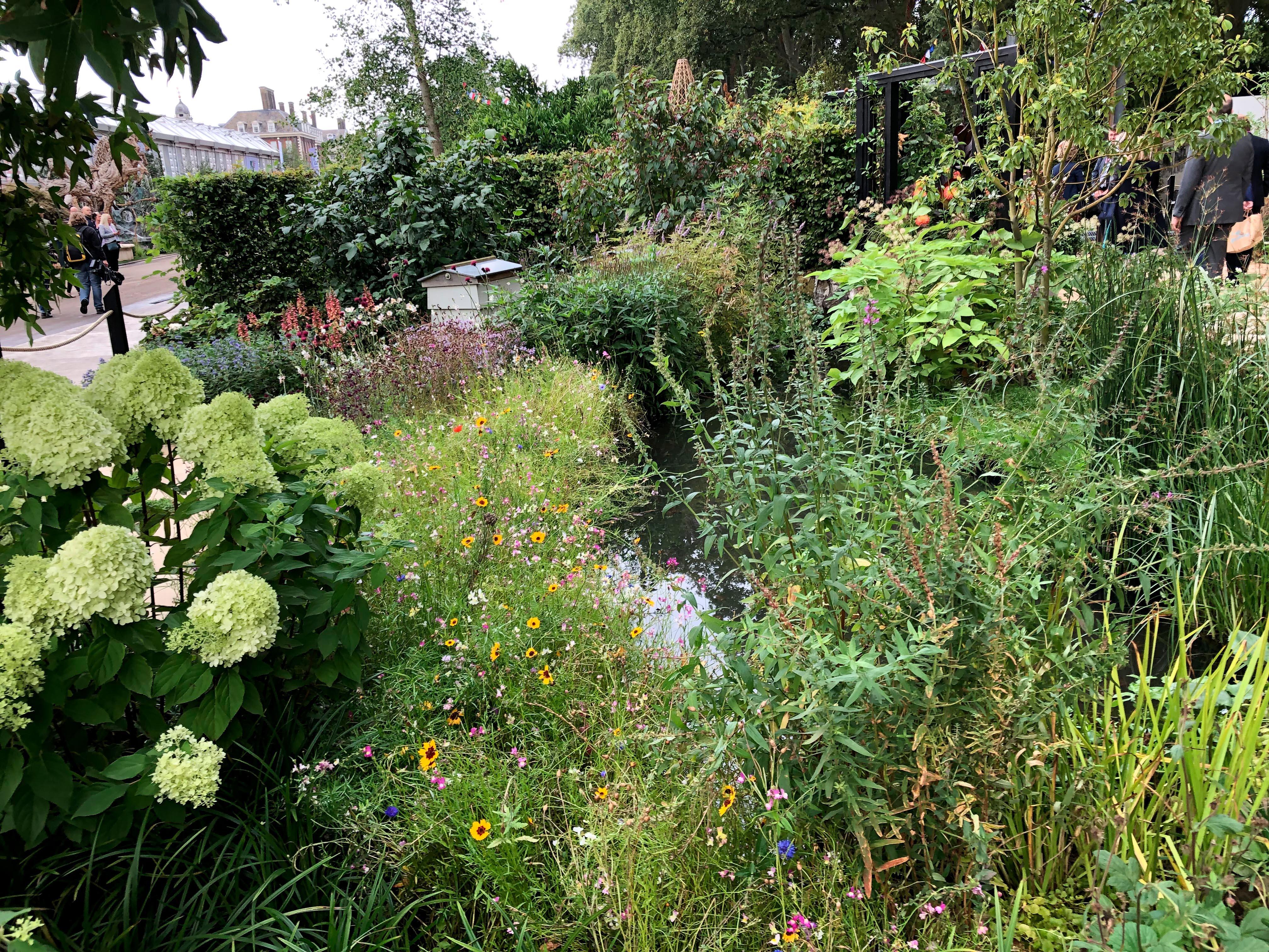 RHS COP26 Garden at Chelsea 2021.