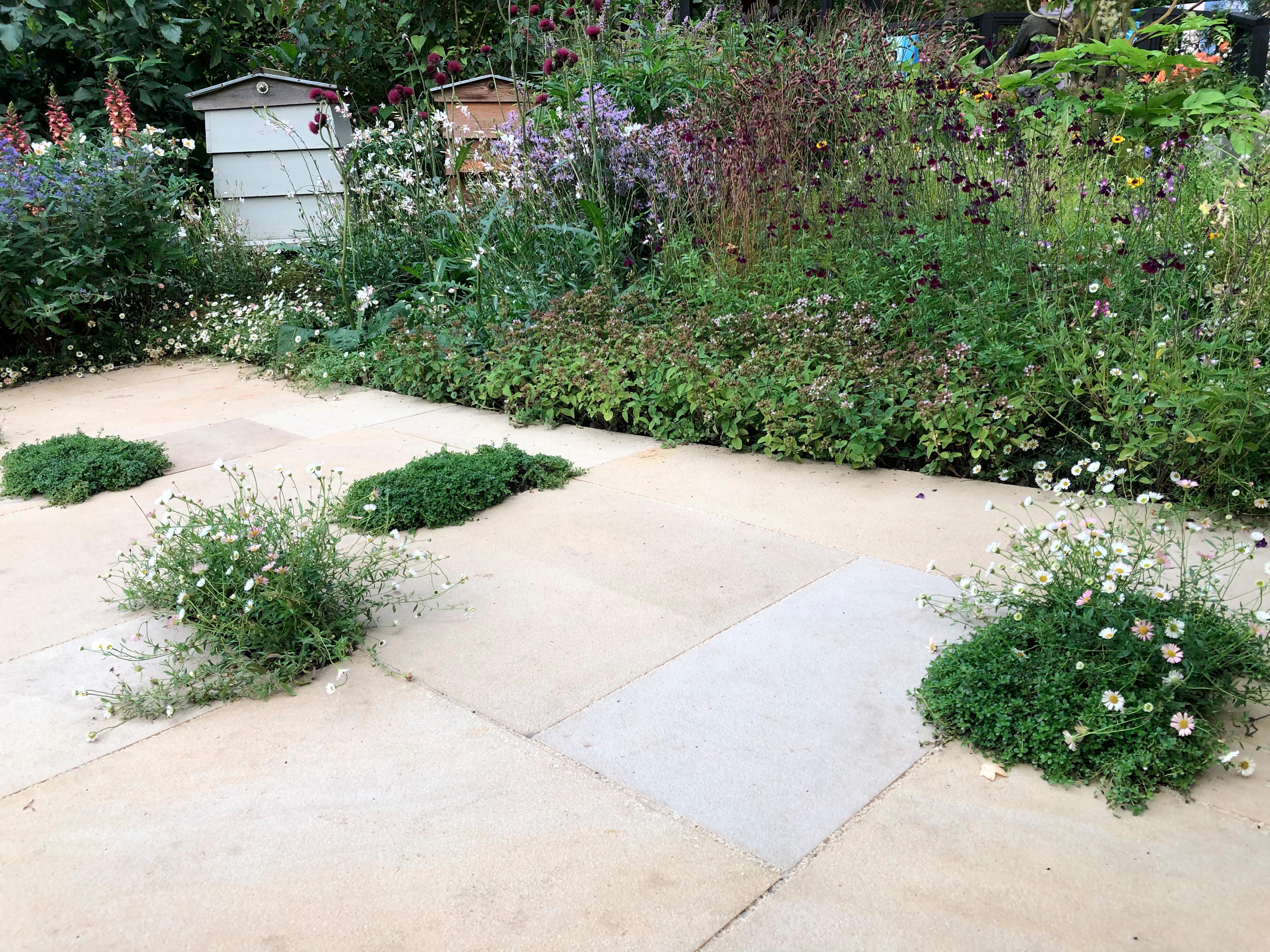 RHS COP26 Garden at Chelsea 2021.