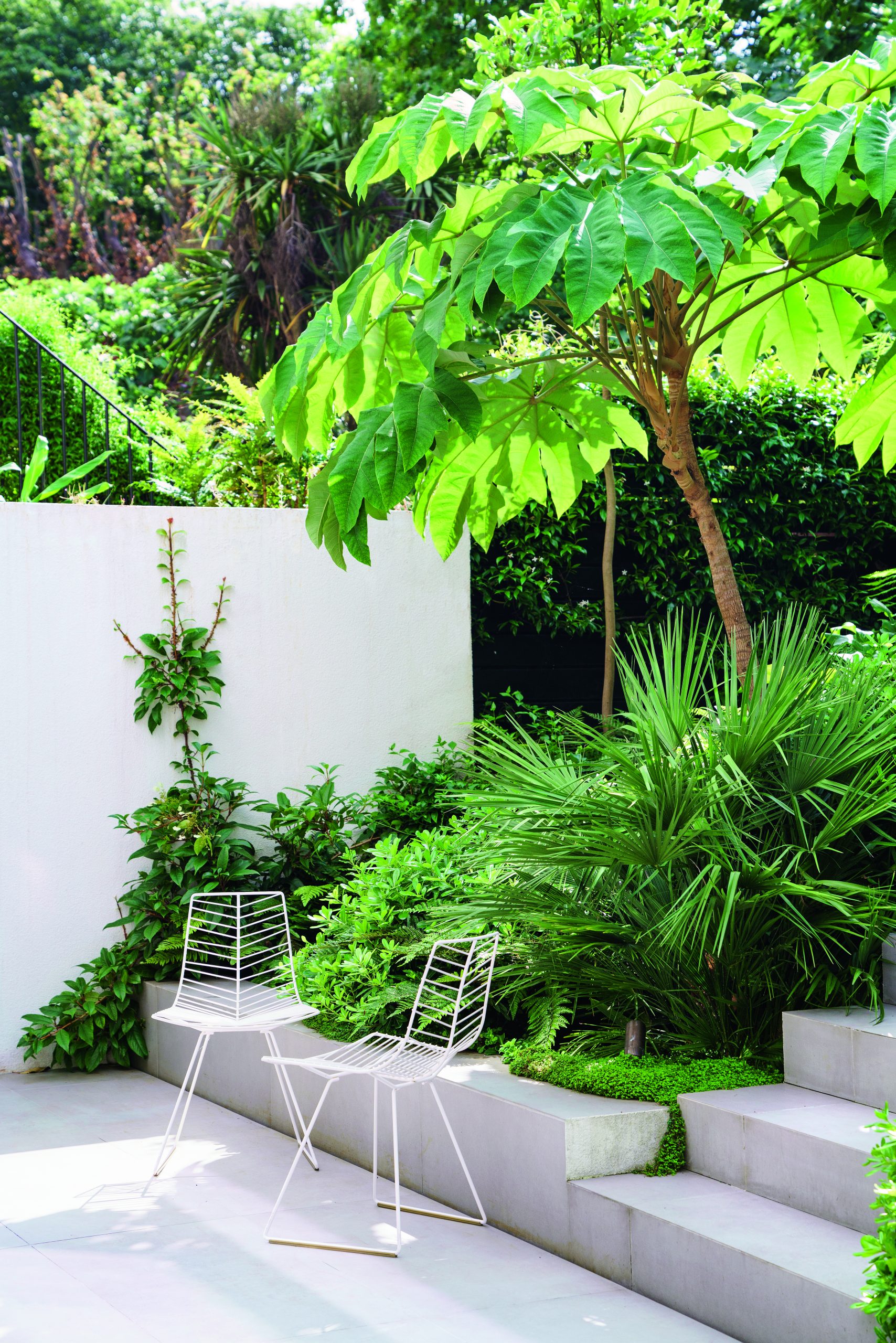 Kerala garden designed by Declan Buckley