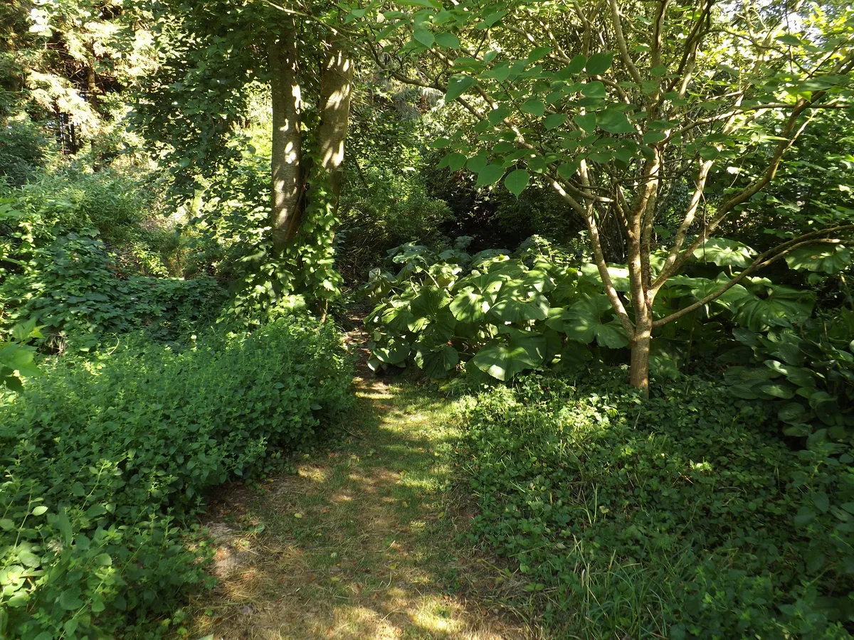 Agroforestry Research Trust forest garden Agroforestry Research Trust forest garden