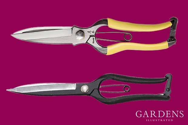 Niwaki Topiary Clippers on a pink background