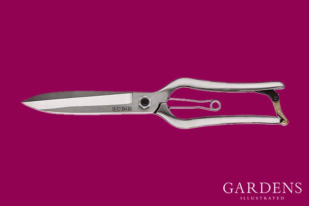 Burgon & Ball Sophie Conran Topiary Shears on a pink background