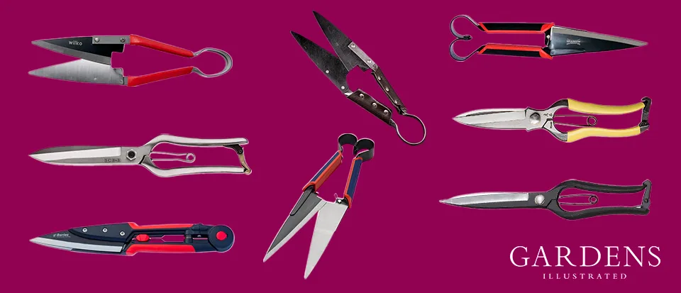 A selection of topiary shears A selection of topiary shears on a pink background