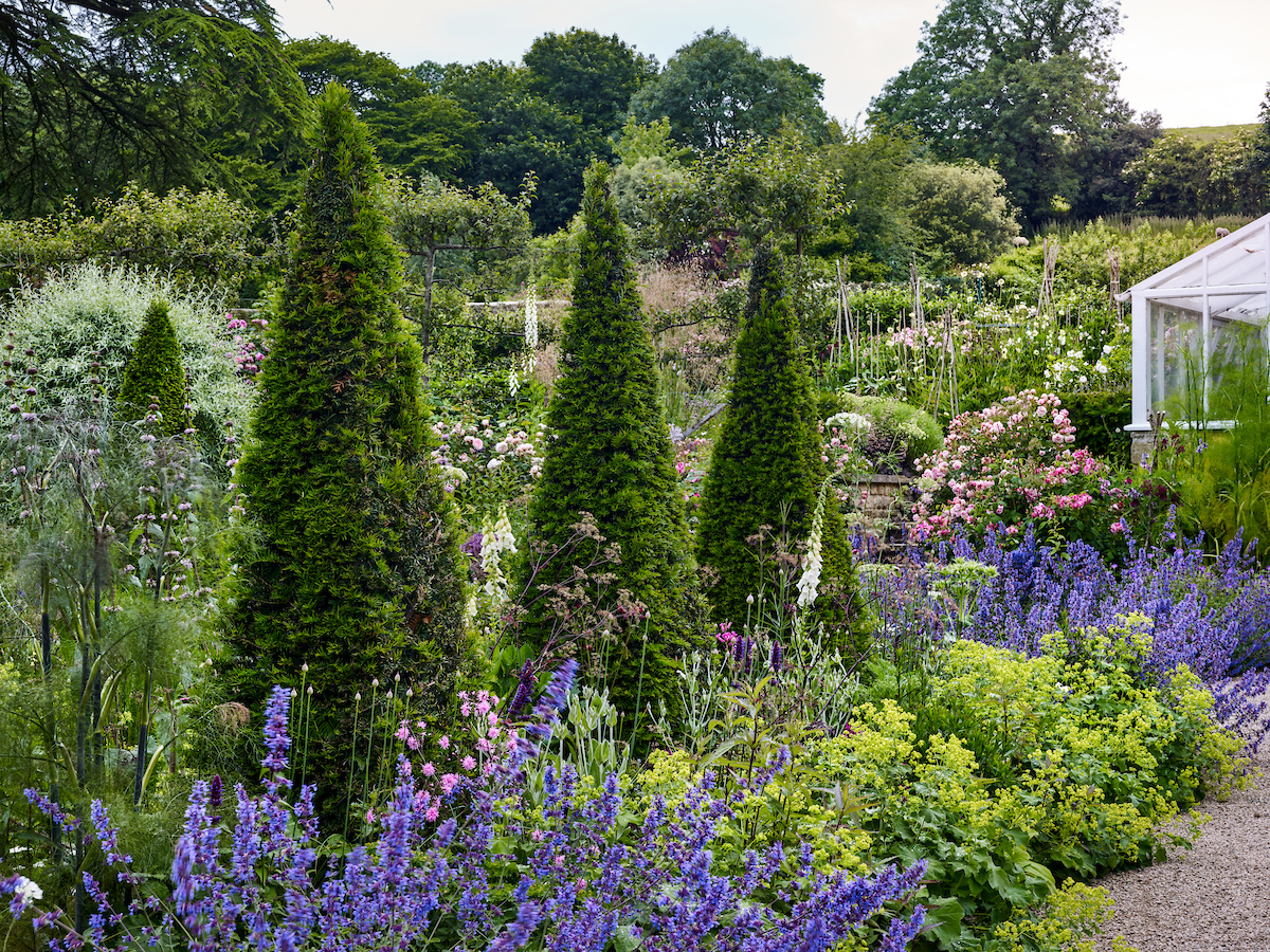 Topiary can become a key garden feature when used effectively