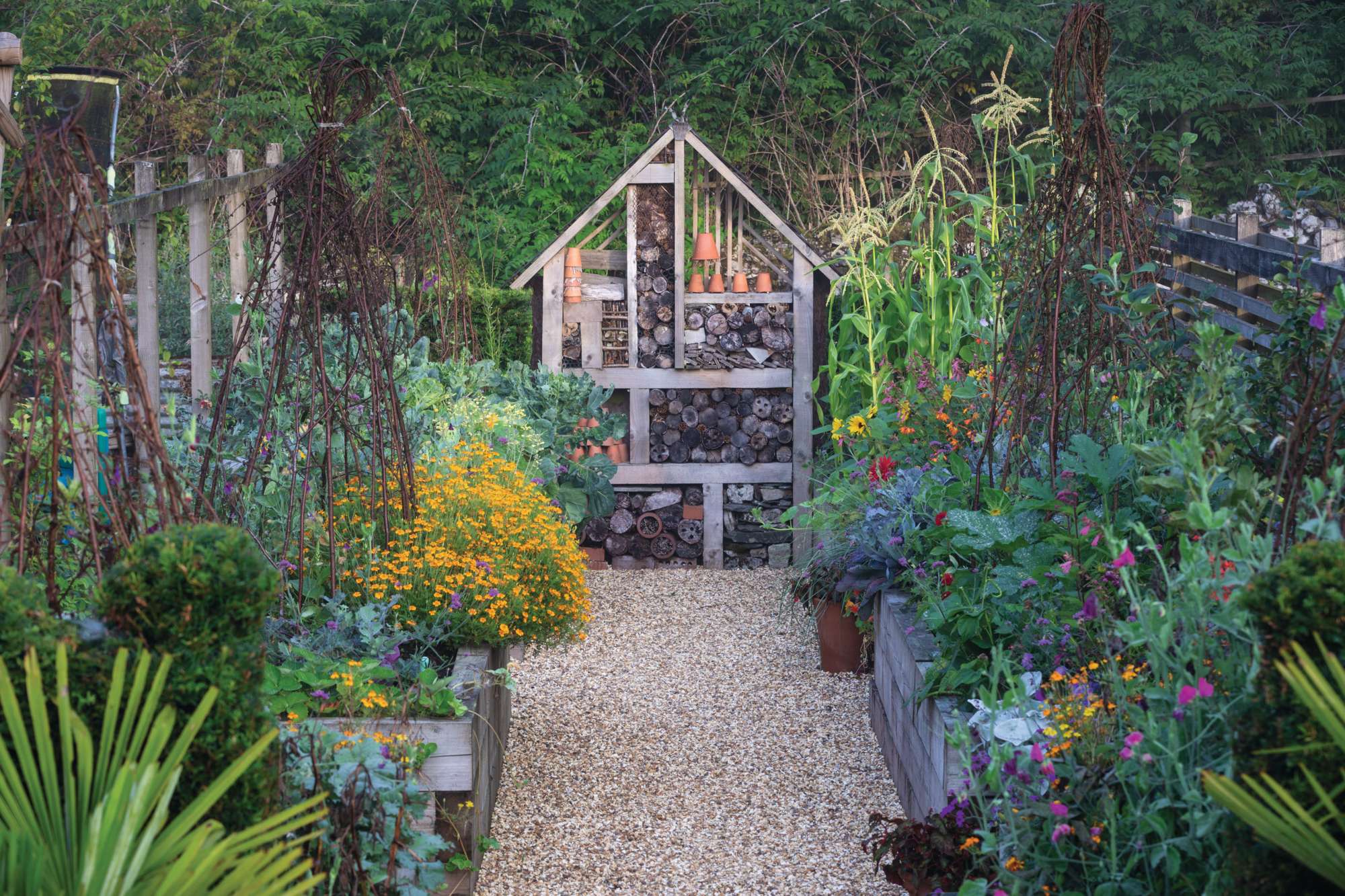 A bug house sits prominently in Abi and Tom’s Garden Plants nursery in south Cumbria