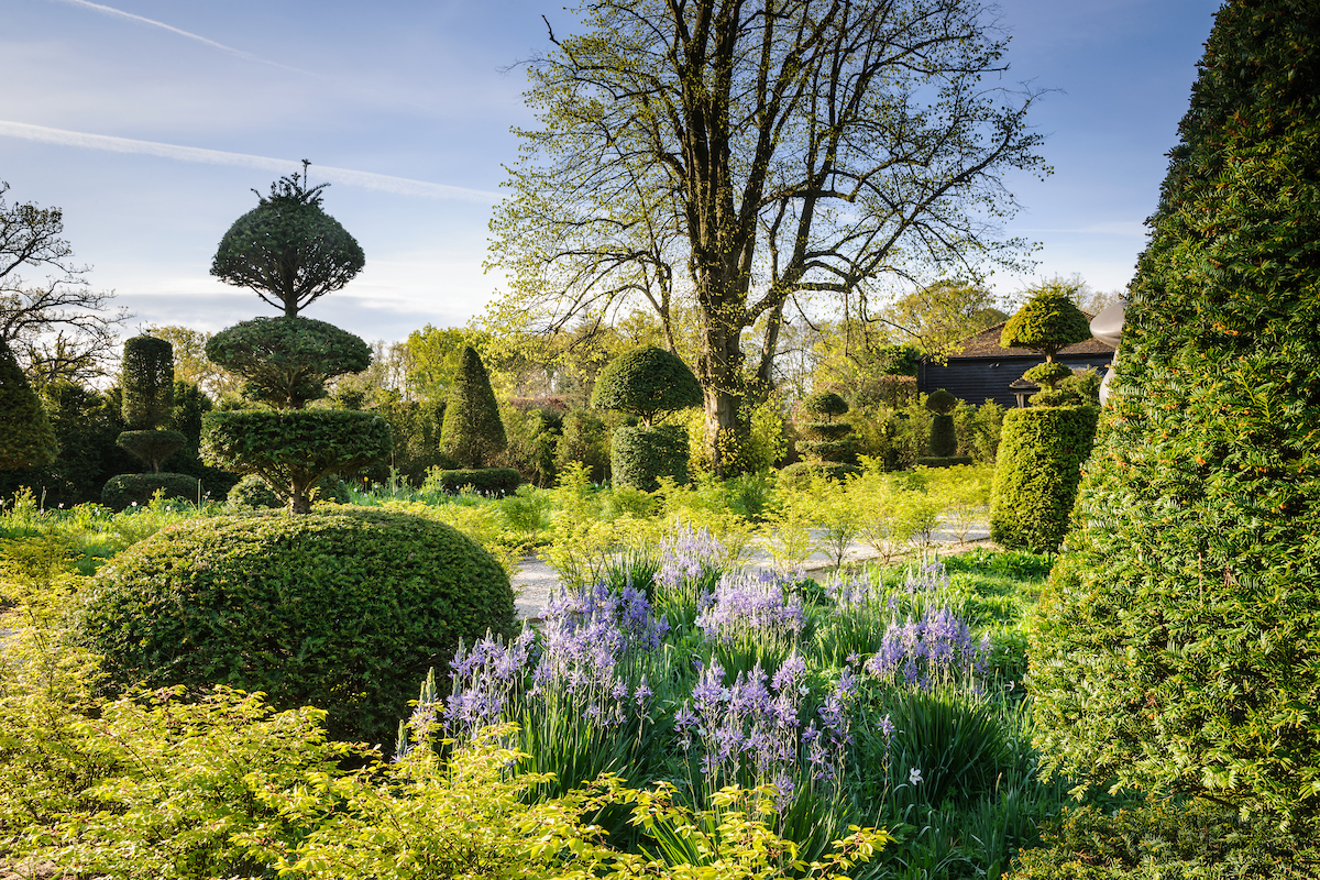 Vibrant planting directs attention in Malverleys’ Topiary Meadow