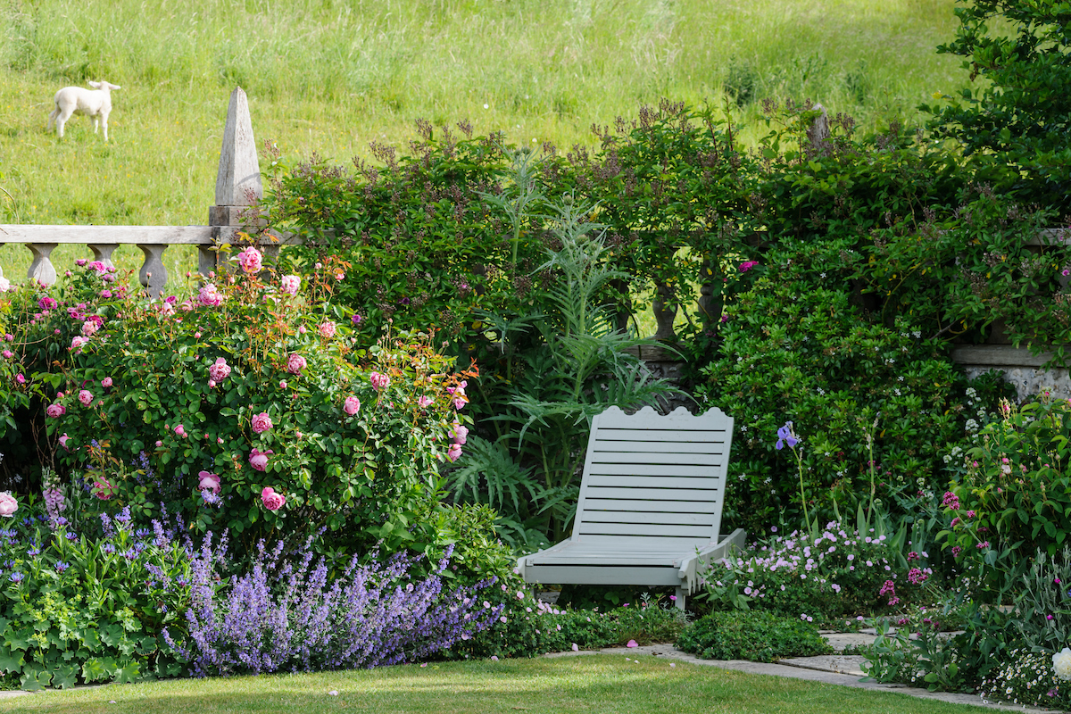 A stylish chair adds an extra element to a shady corner in Upper Sydling House’s garden in Dorset