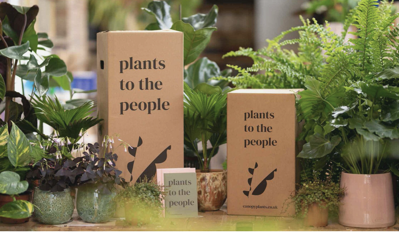 Canopy Plants