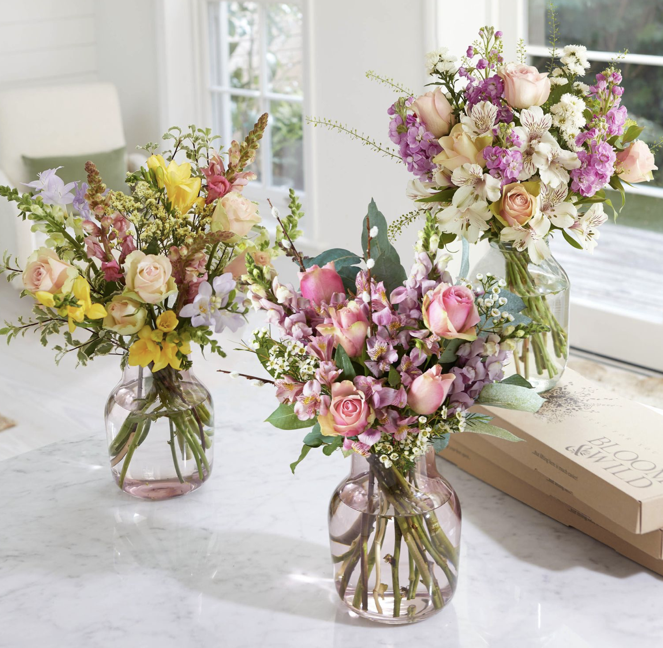 Bloom and Wild