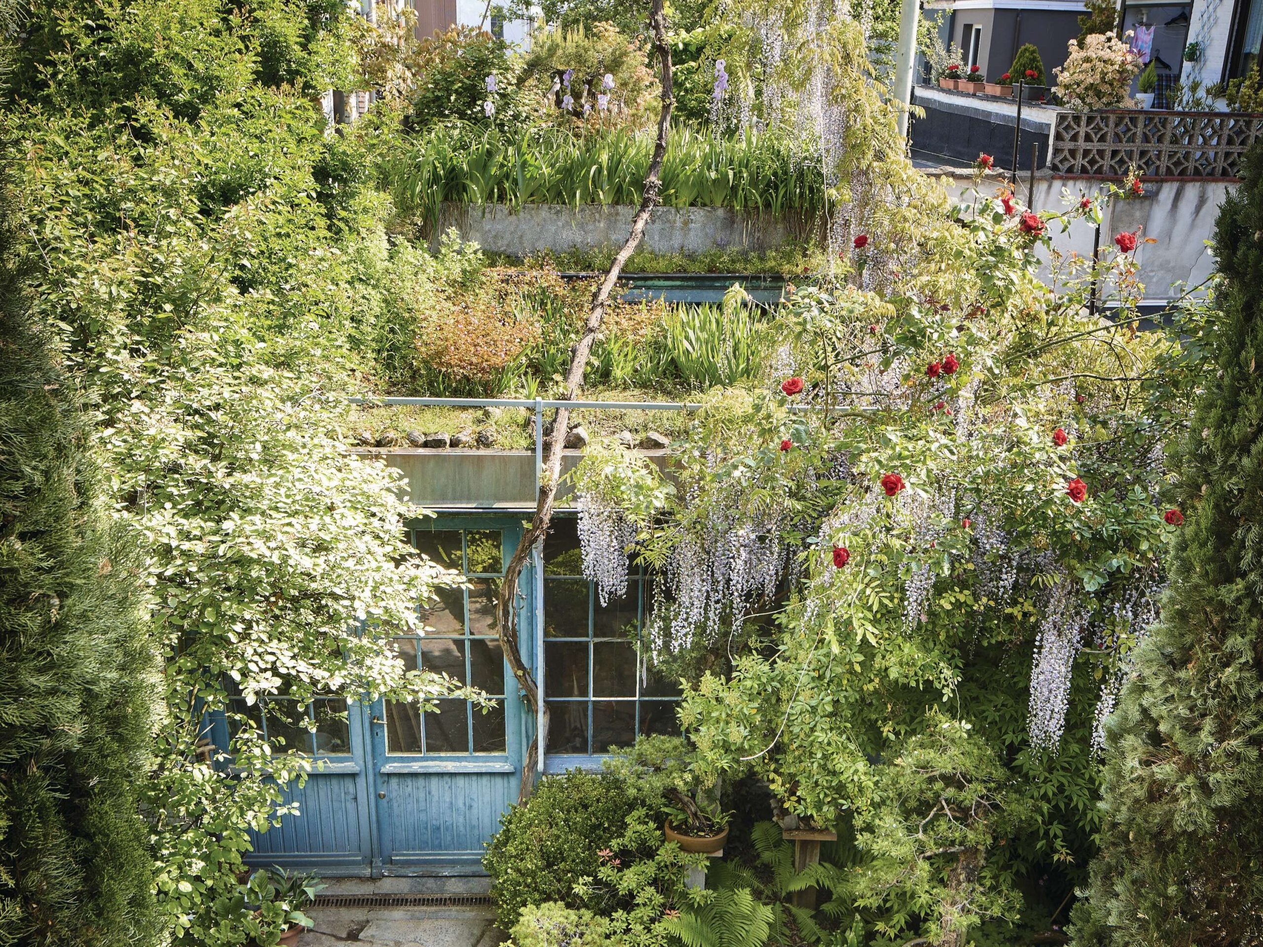 Antoine Vandewoude's garden in Antwerp