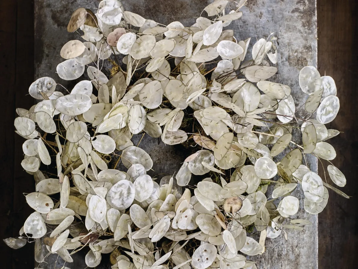 Bex Partridge's honesty wreath for Christmas Bex Partridge's honesty wreath for Christmas