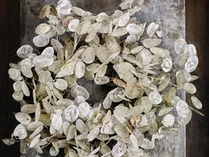 Bex Partridge's honesty wreath for Christmas Bex Partridge's honesty wreath for Christmas