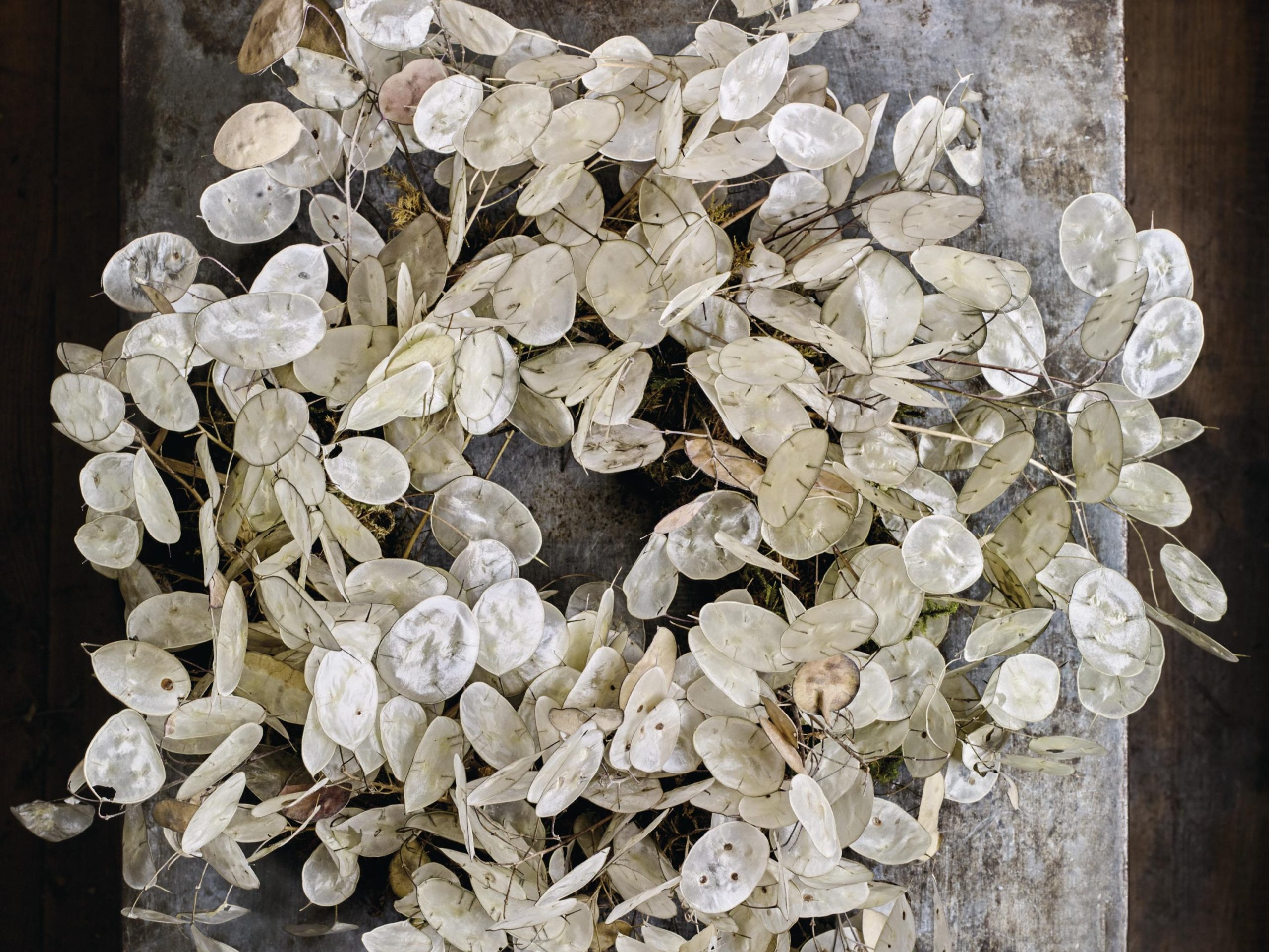 Bex Partridge's honesty wreath for Christmas