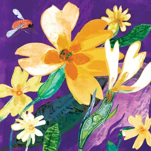 GI-Enantiostyly1-FINAL-JillCalder-9Jan2024_preview Illustration of plant