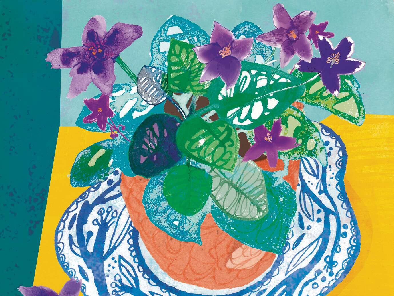 Illustrations of potted plant