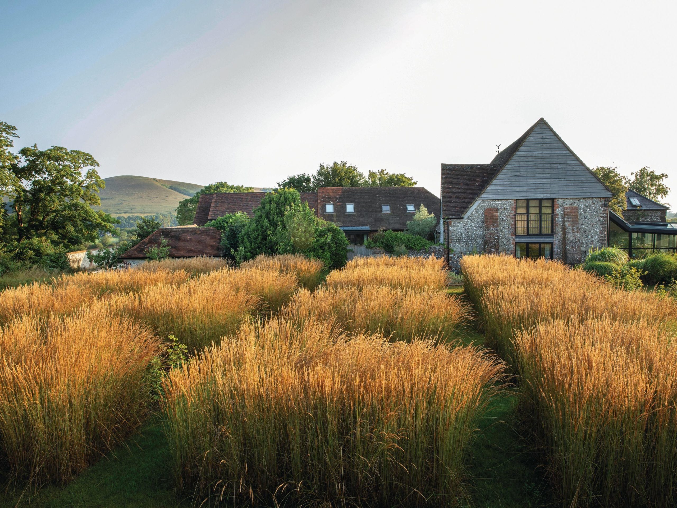 House and grassy field